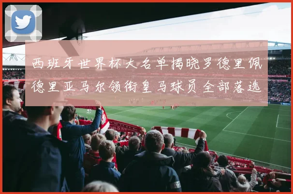 西班牙世界杯大名单揭晓罗德里佩德里亚马尔领衔皇马球员全部落选