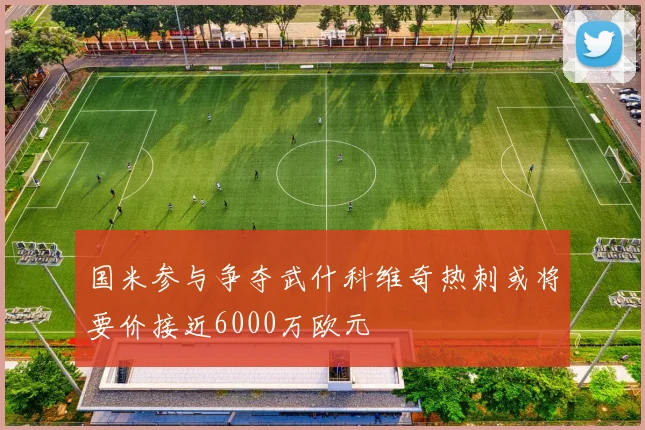 国米参与争夺武什科维奇热刺或将要价接近6000万欧元