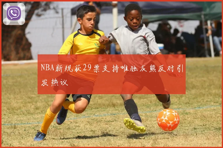 NBA新规获29票支持唯独灰熊反对引发热议